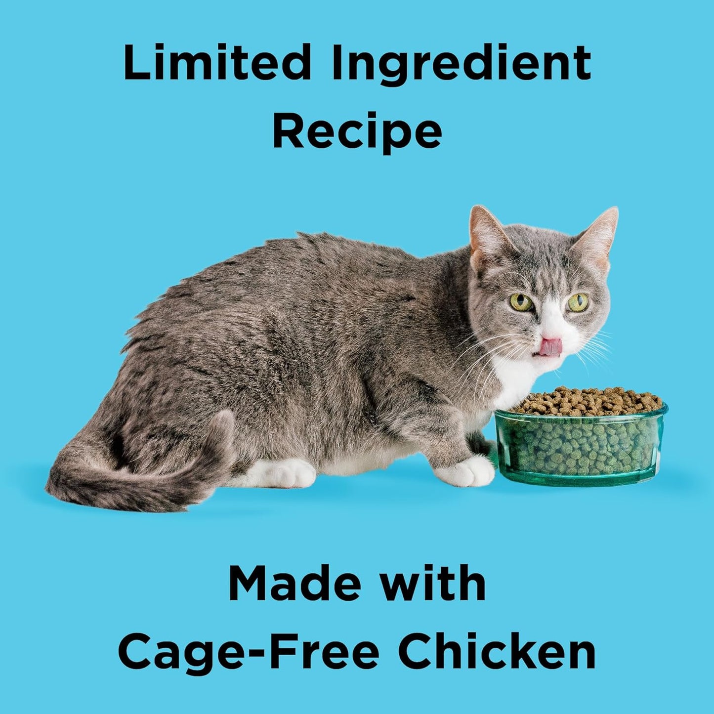 BIXBI Liberty Dry Food Digestive Cat Health Chicken Recipe, 10lb
