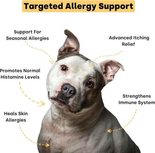Kayode Itch & Allergy - Natural Dog Allergy Chews with Advanced Itch Relief. Premium Colostrum & Bee Pollen for Dog Allergies. Natural Alternative to Allergy Medicine