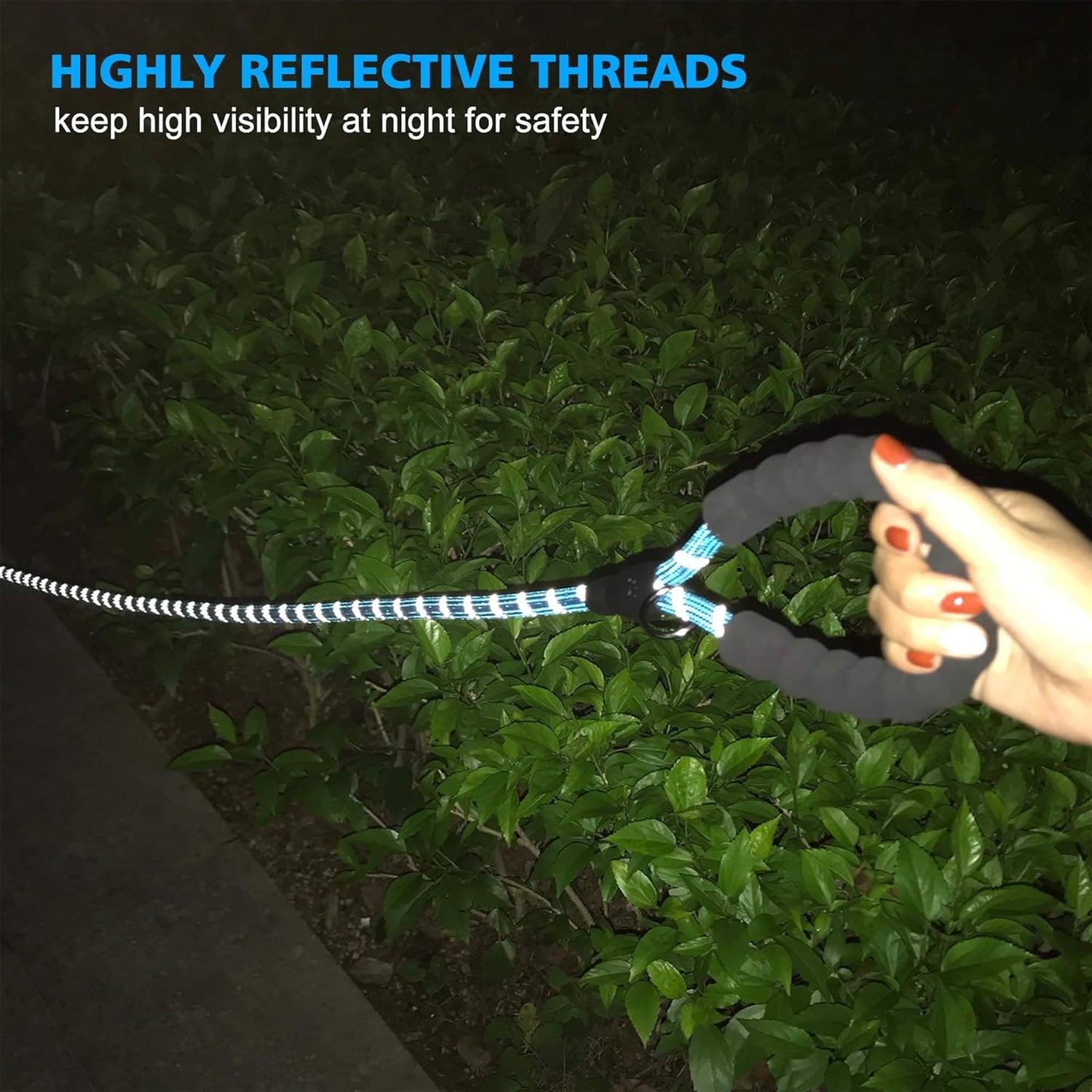 Heavy Duty Dog Leash - Comfortable Padded Handle, 5 ft Long - Dog Leashes for Small Medium Large Dogs (Leash+Collar S Neck 13.5"-16", Blue)