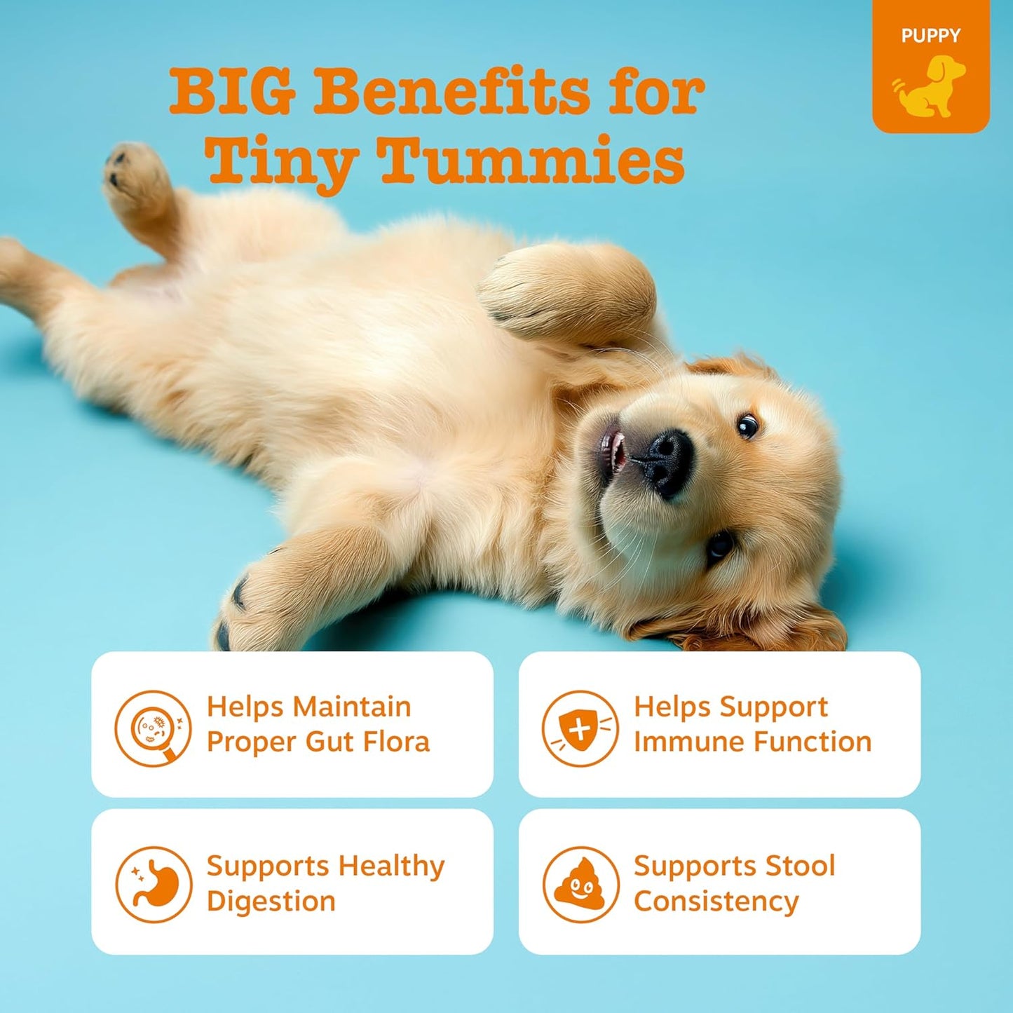 Zesty Paws Puppy Probiotics for Dogs - for Digestive Health, Gut Flora & Immune System Support - Dog Probiotics for Puppies with Bacillus subtilis & Pumpkin - 90 Count