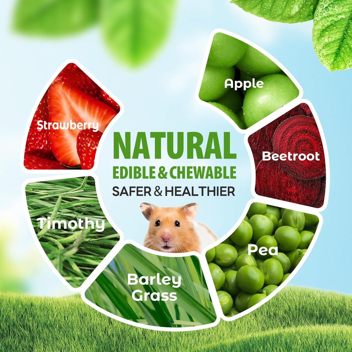 TEEWY Guinea Pig Chew Toys, Natural Vegetables and Timothy Grass, Hamster Chew Toys, Prevents Excessive Tooth Growth in Chinchillas, Gerbils, Hamsters, and Rabbits, Fruits & Vegetables Set