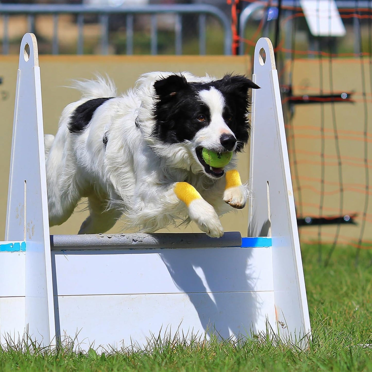 PetFlex Color Pack – Flexible Self-Adhering Elastic Bandage for Wound Care – First Aid Wrap for Small Animals Like Dogs, Cats, and Other Pets - 2 inch, 6 Rolls