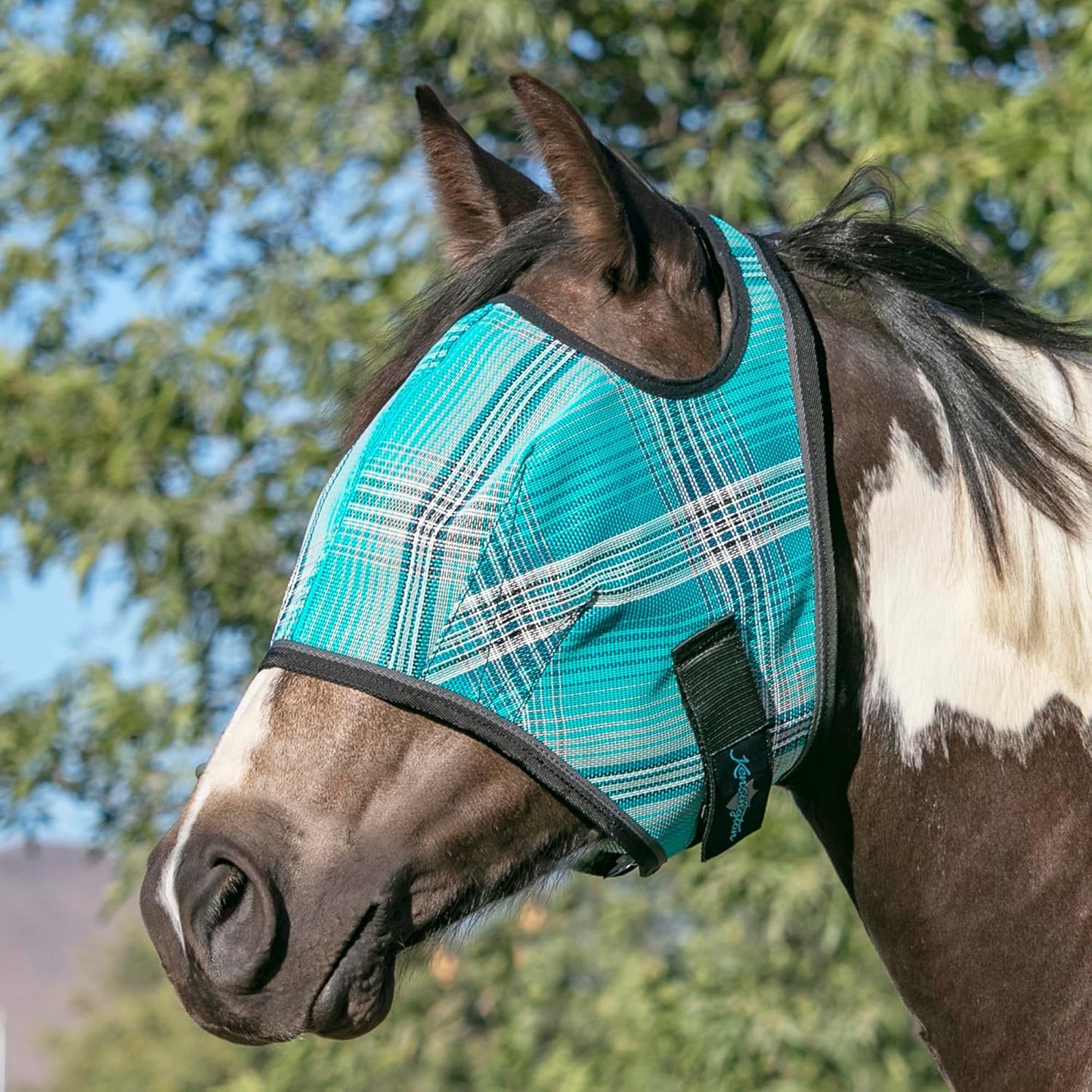 Kensington Fly Mask Web Trim Protects Horses Face and Eyes from Bites and Sun Rays While Allowing Full Visibility Ears and Forelock Able to Come Through The Mask, XXL-Draft, Atlantis