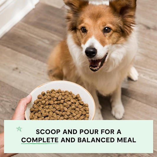 Open Farm, Grain-Free Dry Dog Food, Complete & Balanced Kibble, Sustainably & Ethically Sourced Ingredients, Non-GMO Veggies & Superfoods to Support Overall Health, Turkey and Chicken Recipe, 22lb Bag