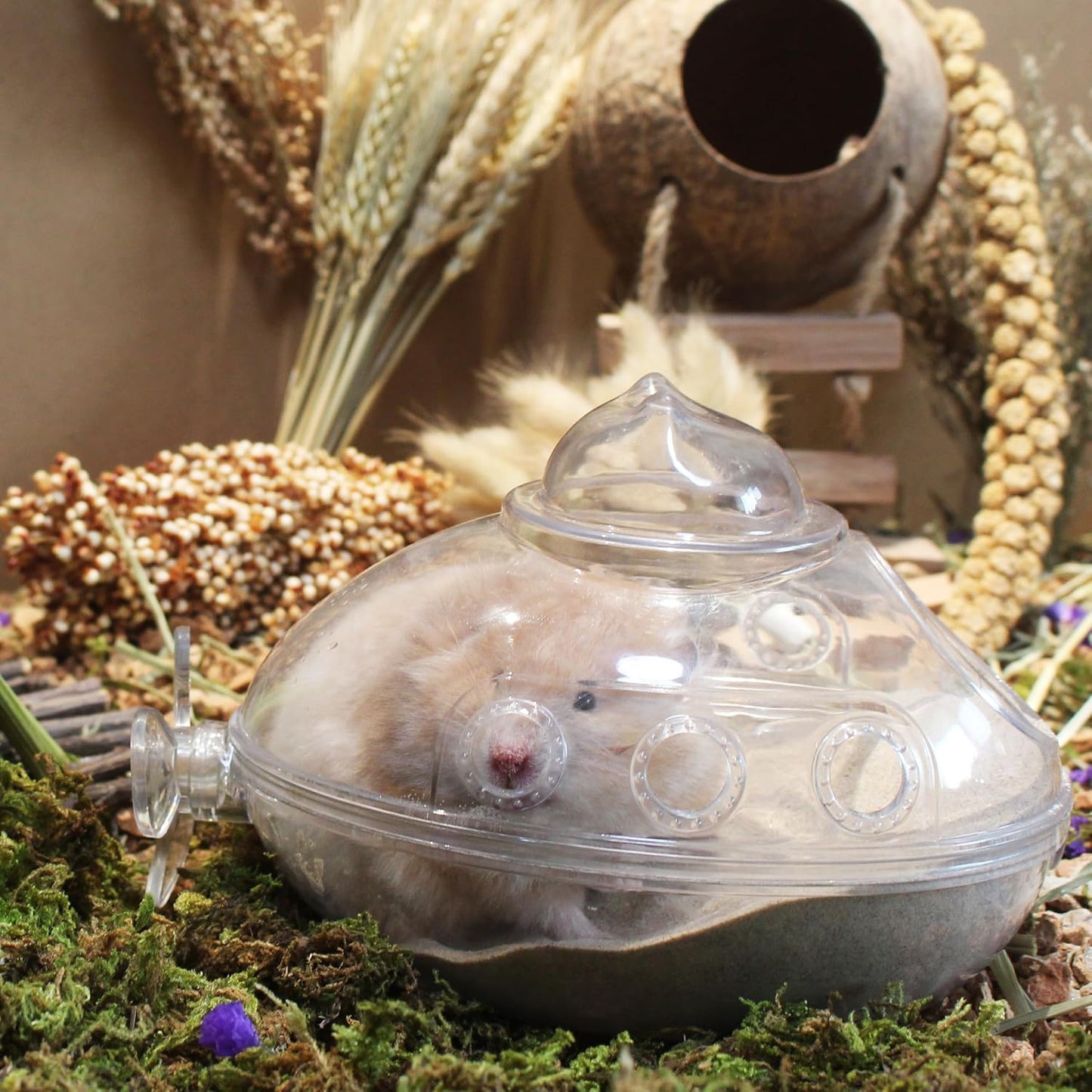 Hamster Bath Sand, 15.4lb Dust Free Desert Sand or Potty Litter Sand for Hamster Chinchillas Gerbil Syrian Mice Small Animals(Beige)