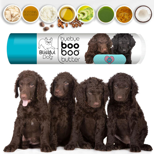 The Blissful Dog Curly-Coat Retriever Boo Boo Butter, 0.15-Ounce