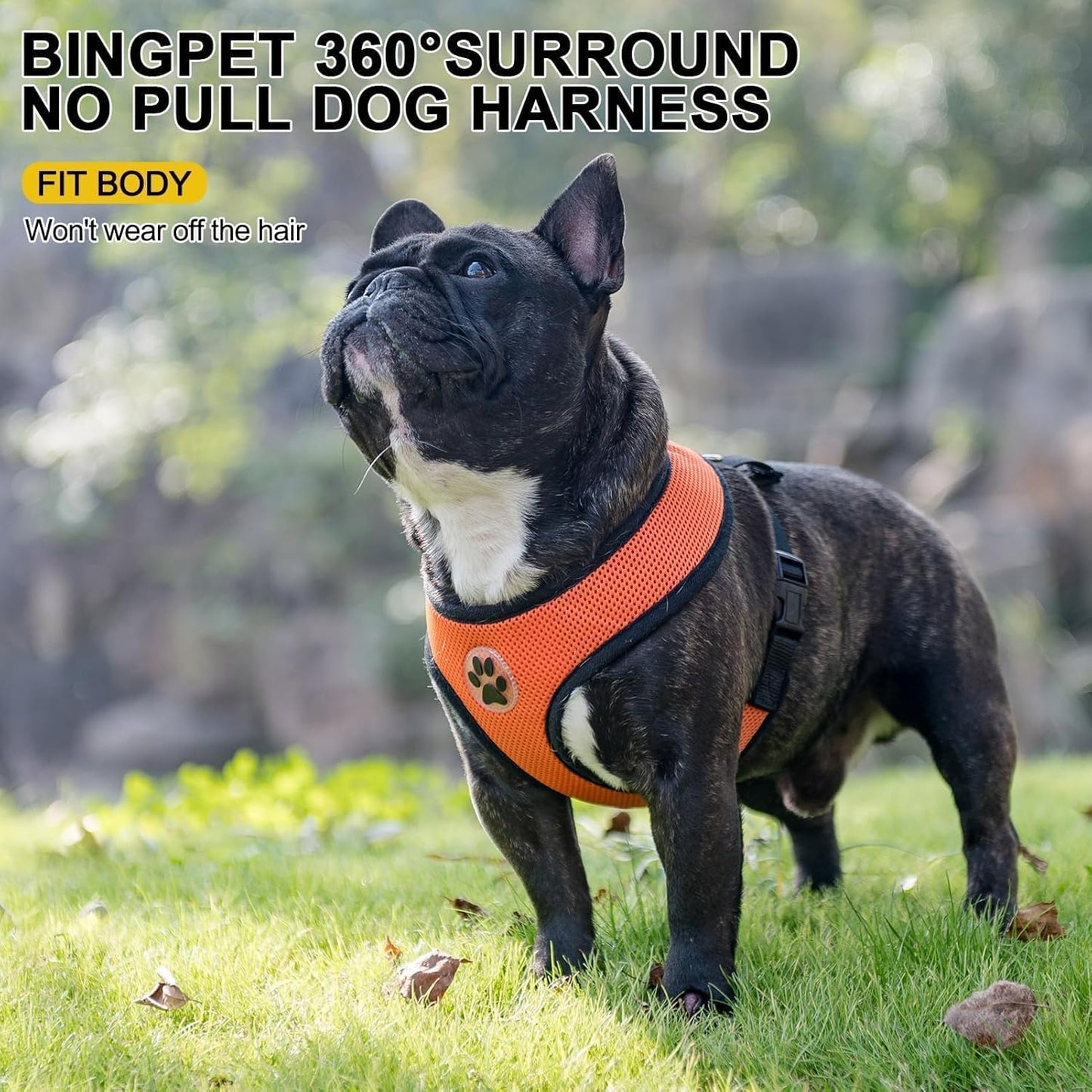 BINGPET No Pull Dog Harness, Soft Mesh Breathable All Weather Vest, Safety Protection Design, Durable Adjustable Step-in Easy Walk Dog Harness for Large Dogs (Orange, L)