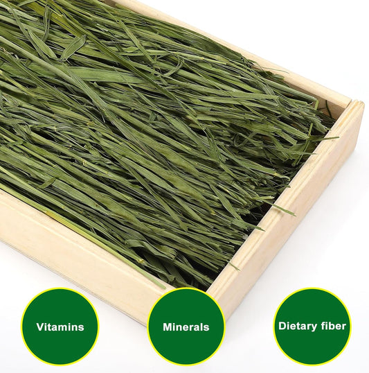 Premium Oat Hay for Pets - Dust Free Natural Green Fresh Pet Food Hay for Rabbits, Guinea Pigs, Chinchillas, Hamsters & Gerbils - 1.1lbs