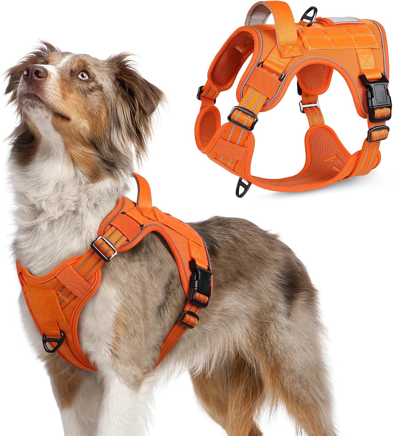 rabbitgoo Tactical Dog Harness Medium Sized Dog, No Pull Military Service Vest with Handle & Molle, Easy Control for Training Walking, Adjustable Reflective Straps, Orange, M