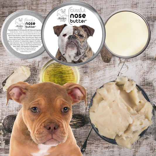 The Blissful Dog Olde English Bulldogge Nose Butter for Dry, Cracked Skin, Lick-Safe Dog Nose Balm with Moisturizing Shea Butter, Almond, Olive, and Essential Oils, Pet Supplies, Uncented, 2 oz.