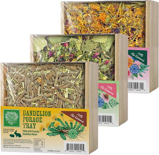 Small Pet Select Forage Tray Bundle, 3 Pack of Foraging Trays for Rabbit, Guinea Pig, Hamster or Bunny - Natural Treats, Dandelion, Flower, Herb Mix 2.5oz Each