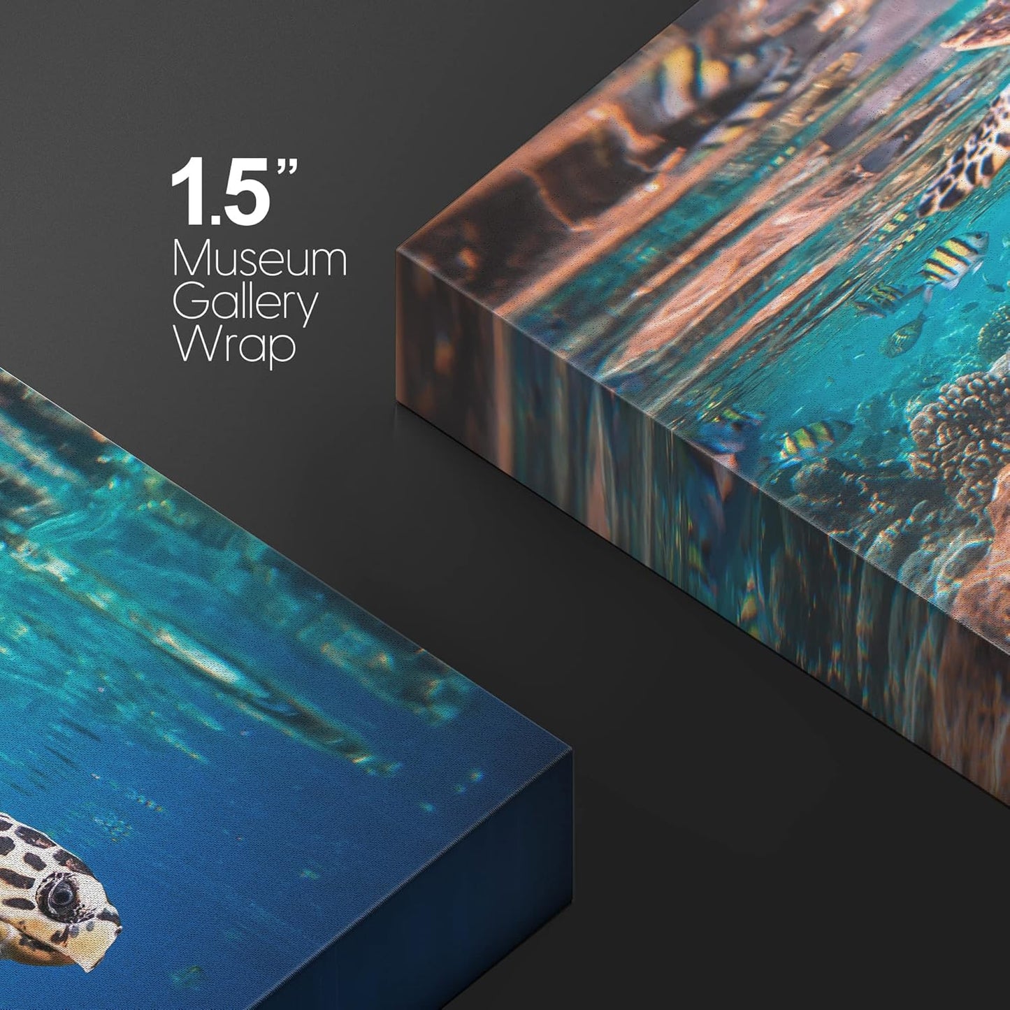 wall26 Canvas Print Wall Art Tropical Turtle Coral Reef Deep Sea Dive Nature Animals Photography Realism Rustic Scenic Landscape Wilderness Earth Colorful for Living Room, Bedroom, Office - 16"x24"