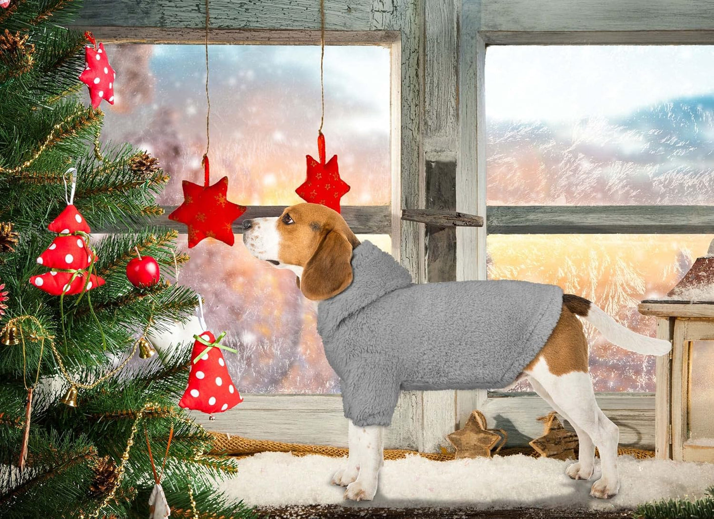 Fuzzy Dog Sweaters for Small Dogs Dog Hoodie Pet Clothes Warm Soft Cozy Coats Hooded Sweatshirt Fleece Small Pet Hoodies Sweater(Grey-S)