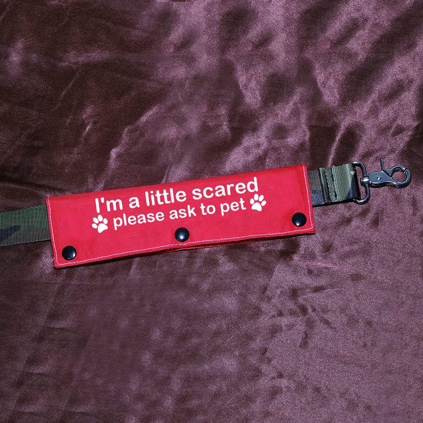 Funny Dog Leash Sleeve I'm a Little Scared Please Ask to pet Leash Wrap Alert Hanging ID Patch Tag Pet Birthday Gift(Little Scared-Sleeve)
