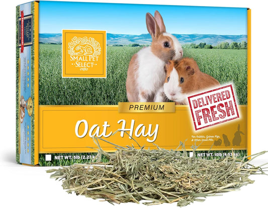 Small Pet Select Oat Hay Pet Food, 5 Lb.