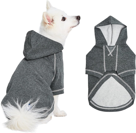 Blueberry Pet Essentials Soft & Comfy Better Basic Cotton Blend Dog Hoodie Sweatshirt in Charcoal Grey, Back Length 24", Pack of 1 Jacket for Dogs