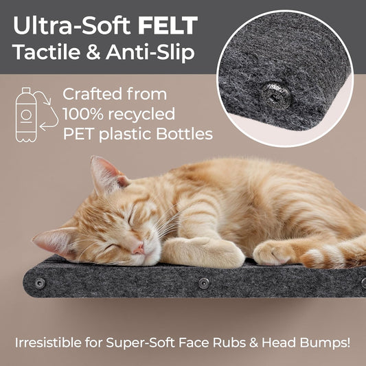 Wall Mounted Cat Perch Long Shelf by Pryde Pets - Floating Hammock Bed, 100% Sustainable PET Felt Feline Enrichment Climber Furniture for Indoor Cats, Modern Climbing Gym Jungle Design (Charcoal)