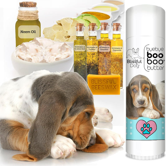 The Blissful Dog .50 oz Tube Basset Hound Booboo Butter