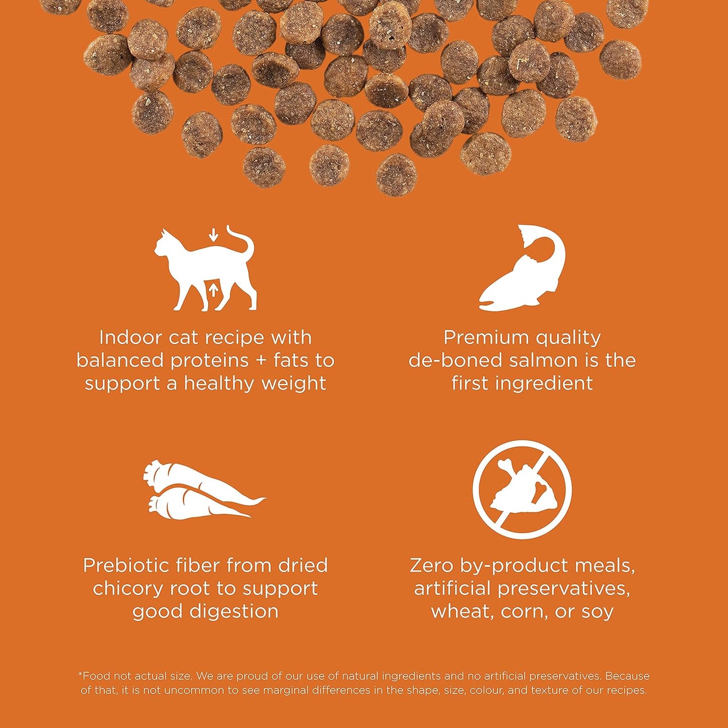 Go! Solutions Skin + Coat Care, Grain-Free Dry Cat Food, Salmon Recipe, 16 lb Bag