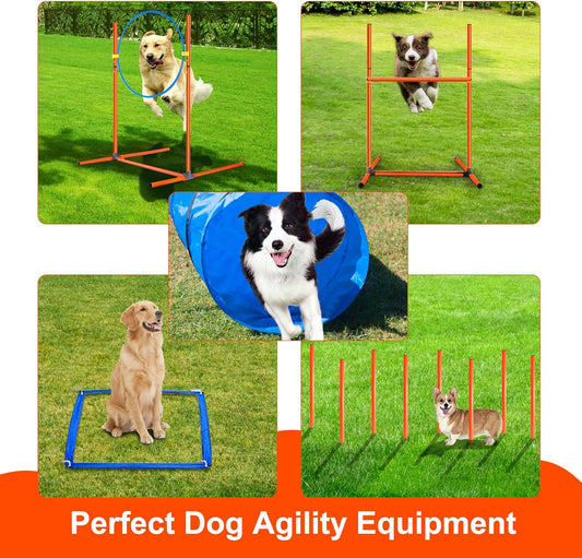 Dog Agility Training Equipment, Obstacle Agility Training Starter Kit for Doggie, Including Tunnel, 27 Weave Poles, Adjustable Hurdle, Jump Ring, Pause Box and Carrying Bag(Blue,L)