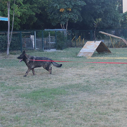 Dog/Puppy Obedience Recall Training Agility Lead - 15ft 20ft 30ft 40ft 50ft Training Leash - Great for Play, Camping, or Backyard (Military Green, 30 Feet)