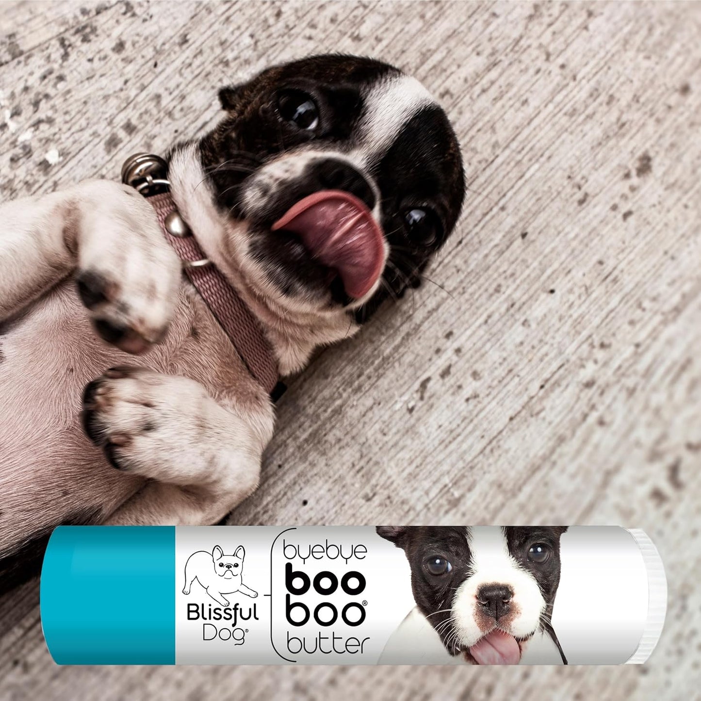 The Blissful Dog .15 oz Tube Boston Terrier Booboo Butter