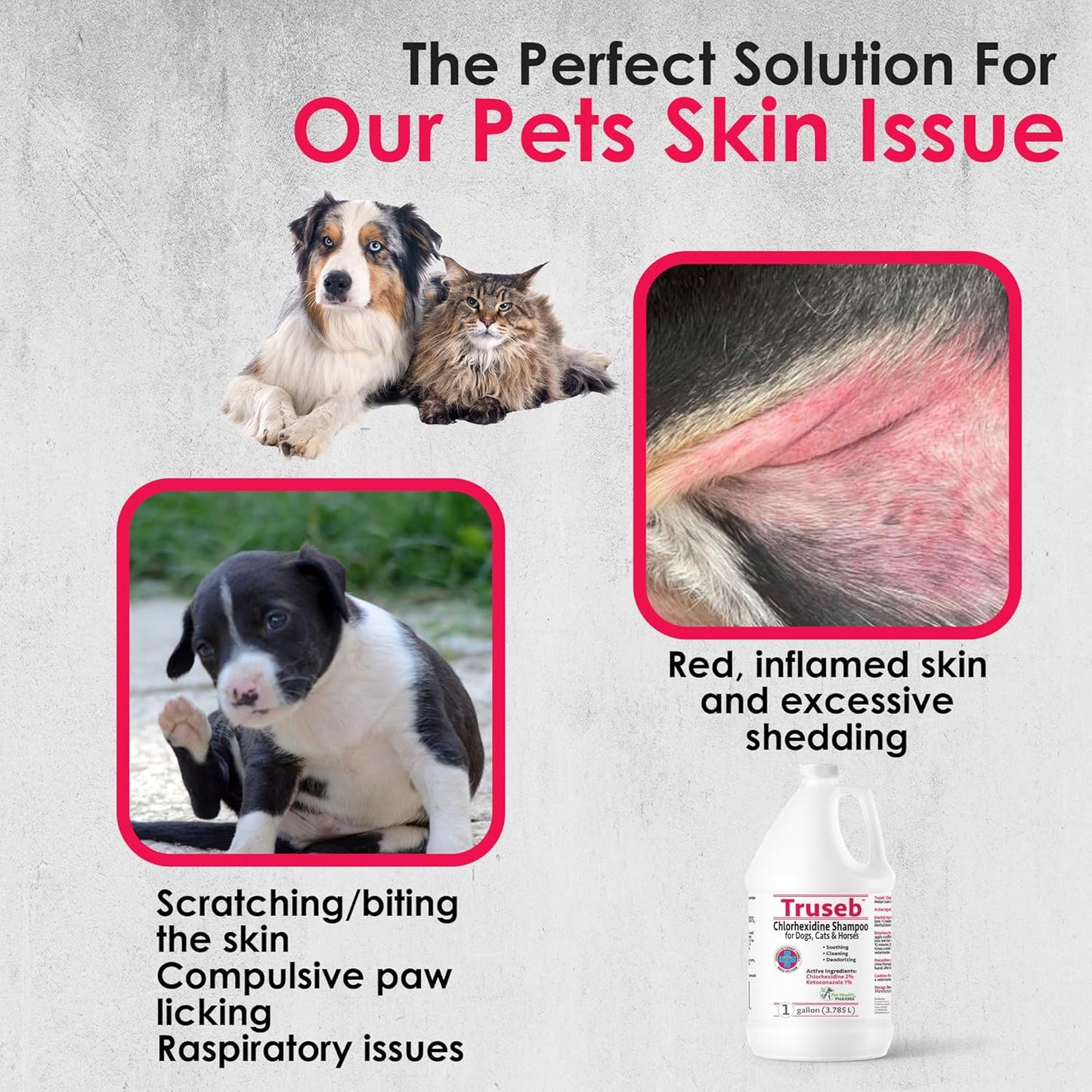 Truseb All Natural Topical Ketoconazole and Chlorhexidine Shampoo for Dogs, Cats & Horses with Aloe Vera Shampoo and Conditioner(Ketoconazole & Chlorhexidine Shampoo, 1 Gallon)