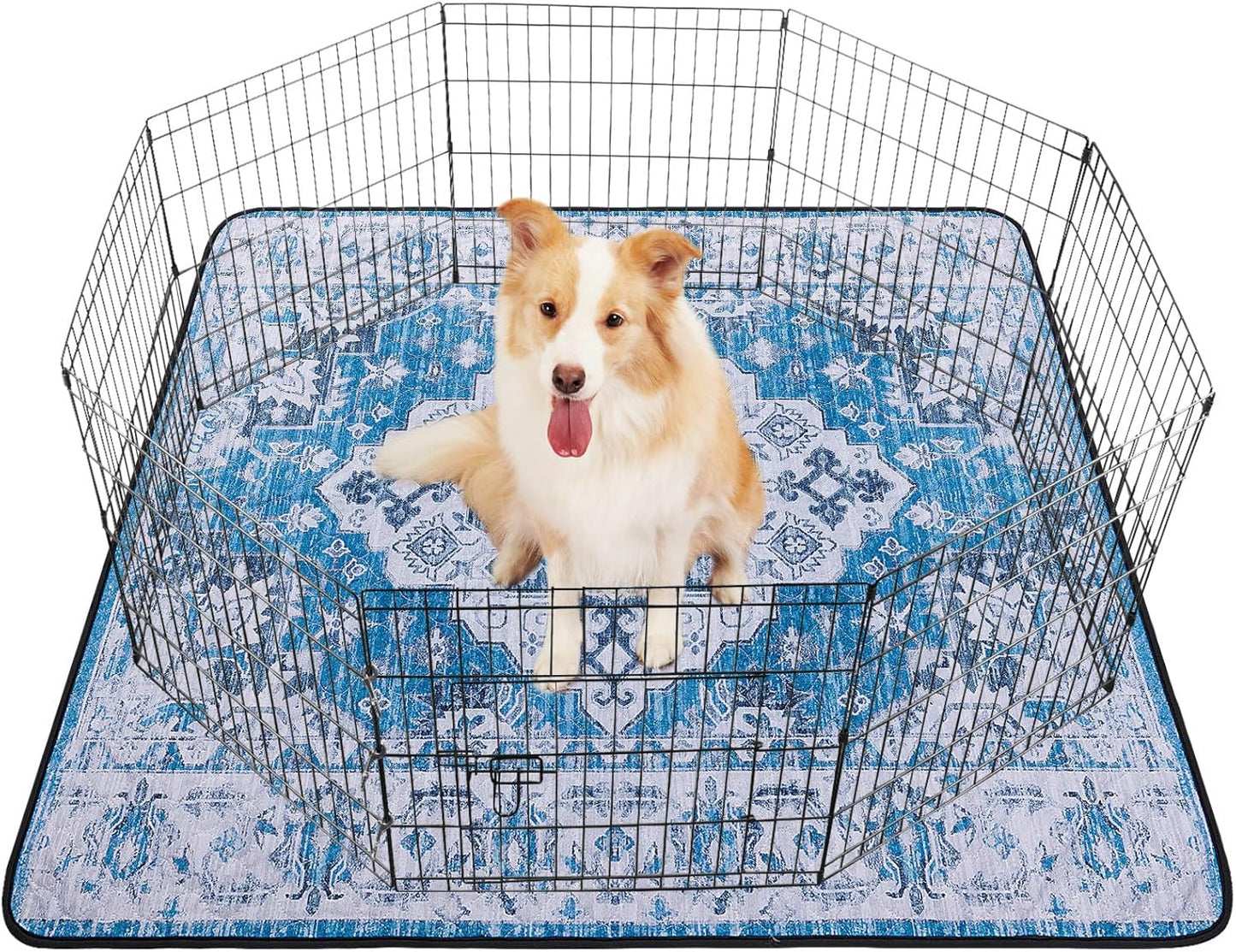 LOOBANI Washable Pee Pads for Dogs, 2 Pack Super Absorbent Reusable Puppy Pads Leakproof Dog Traning Pads, Waterproof Non-Slip Whelping Pad for Floor, Playpen, Crate, Couch-72 x72 (Blue)