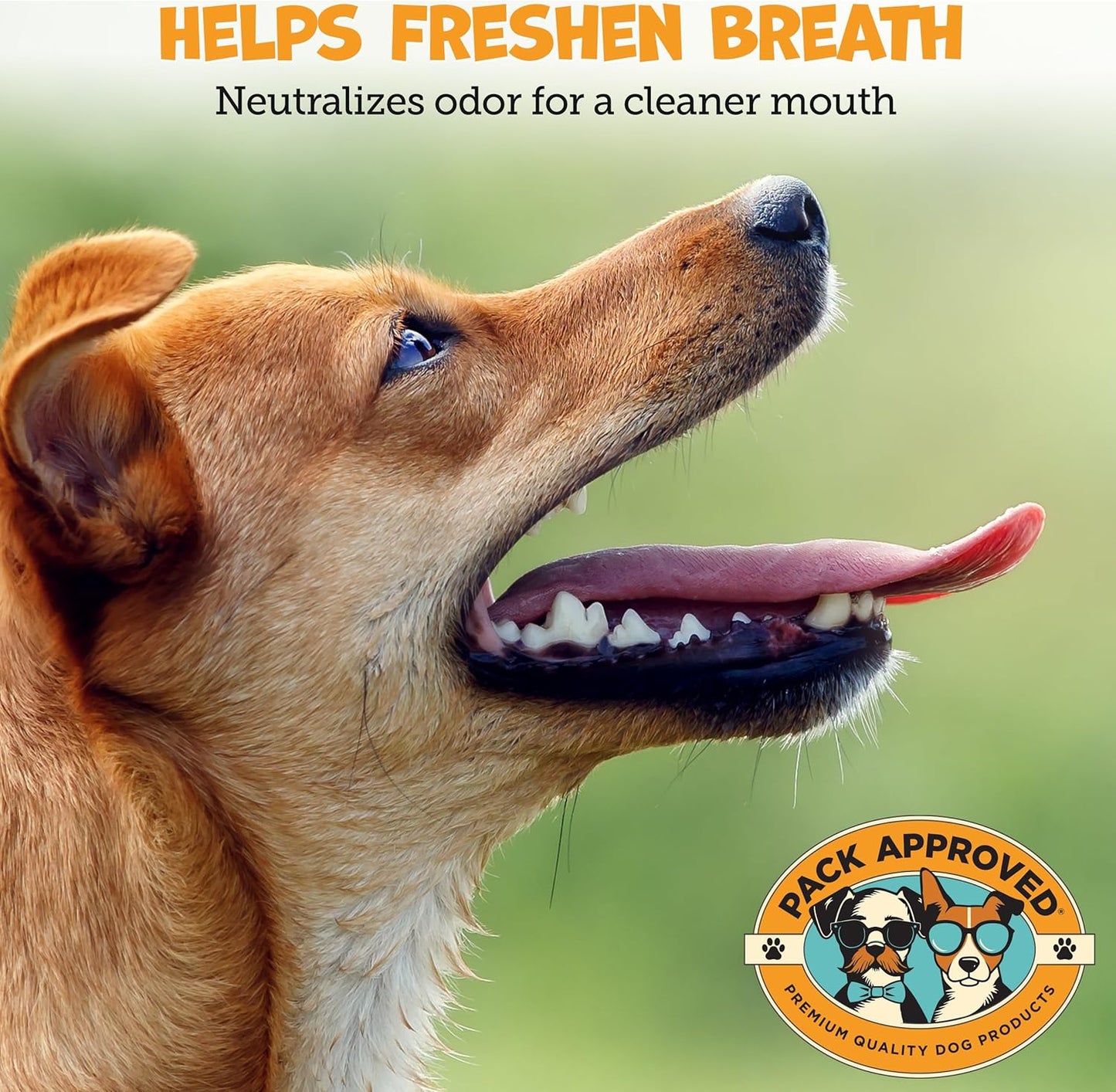 Dental Wipes for Dogs - Dog Teeth Wipes for Oral Care, Tartar and Plaque Remover - Cleans and Freshens Breath for Dogs with Fresh Apple & Mint Scent - Dog Teeth Cleaning Pads – 100 Count