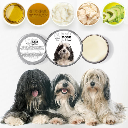 The Blissful Dog Tibetan Terrier Unscented Nose Butter - Dog Nose Butter, 2 Ounce