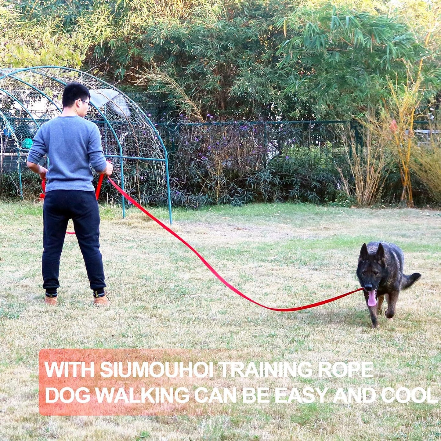 Dog/Puppy Obedience Recall Training Agility Lead - 30ft Long Training Leash，3/4in Wide - Great for Play, Camping, or Backyard（Blue，30 Feet