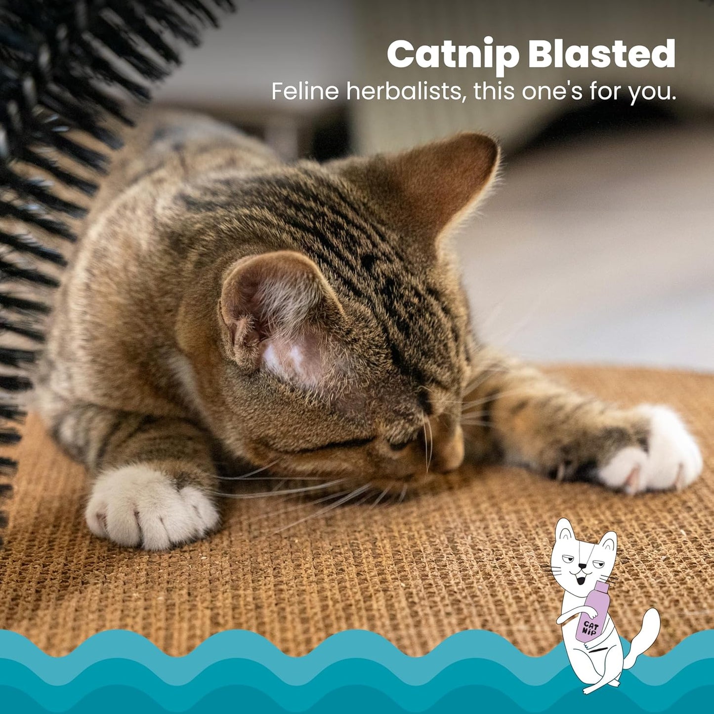 Catstages Scratch & Groom Cat Scratcher with Removable Curved Brush for Self-Grooming Station, Orange