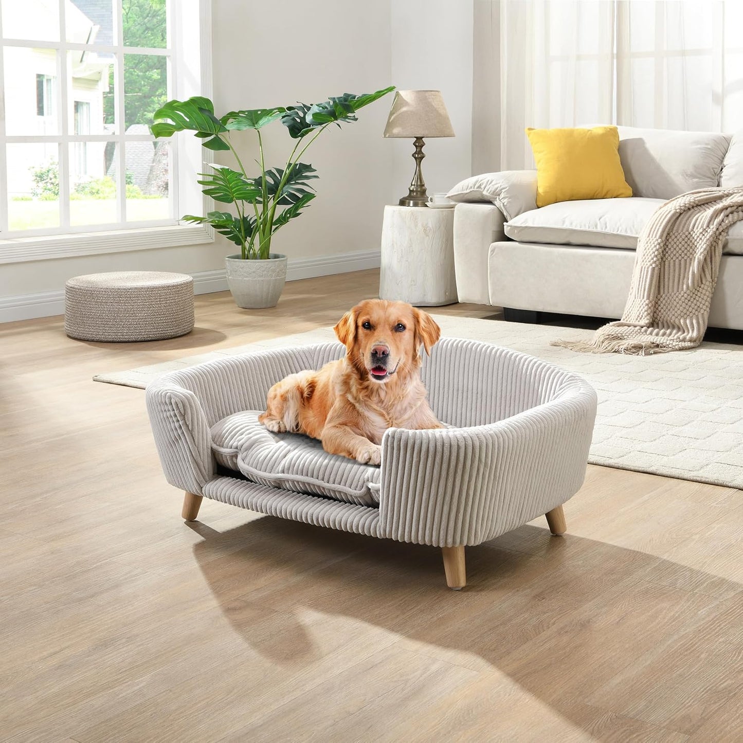 Christopher Knight Home Elroy Orthopedic Dog Bed, Elevated Dog Sofa Bed for Small Dog, Supportive Foam Pet Couch Bed with Wooden Legs, Modern Pet Sofa Bed, Light Beige